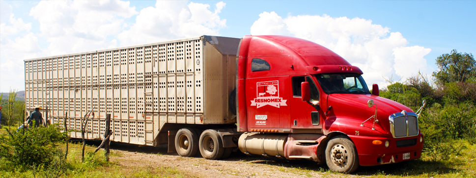 Transportes RESNOMEX